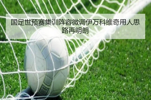 国足世预赛集训阵容微调伊万科维奇用人思路再明朗（milansports）